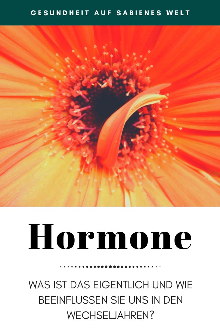 Hormone: Die Übeltäter in den Wechseljahren. Aber was machen die eigentlich? Einmal kurz und knapp erklärt