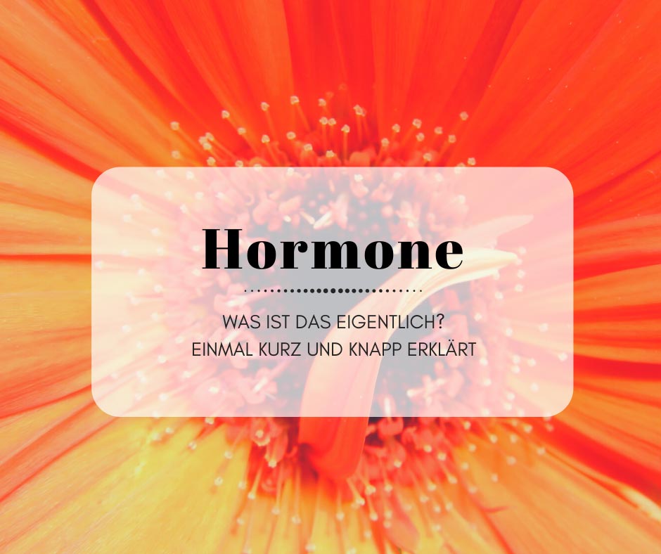 Was sind Hormone und wie beeinflussen sie uns in den Wechseljahren? 