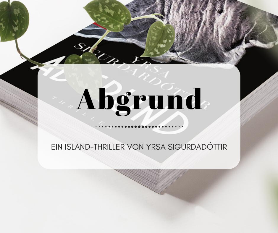 Abgrund - Ein Island-Thriller von Yrsa Sigurðardóttir (Huldar und Freyja 4)