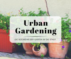 Urban Gardening - Die Rückkehr der Gärten in der Stadt