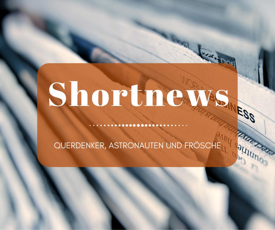 shortnews querdenker