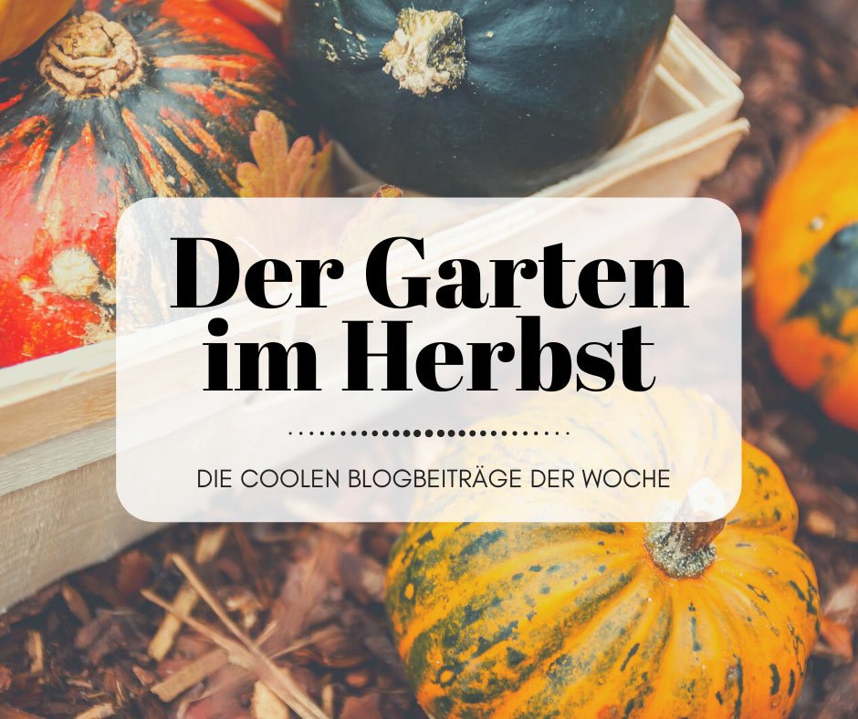Der Garten im Herbst - Die Coolen Blogbeiträge der Woche