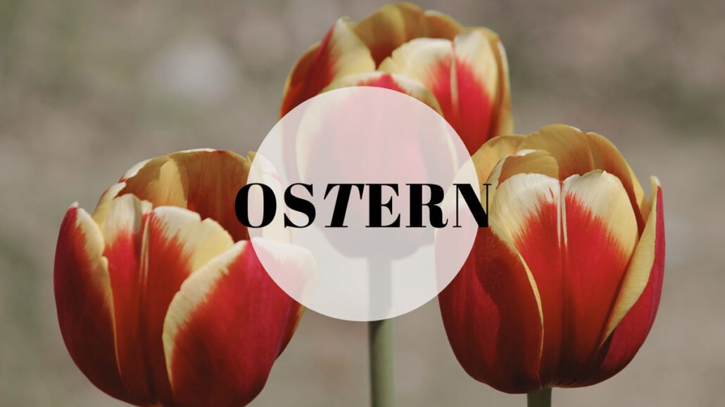 Alles für Ostern - Die Coolen Blogbeiträge im April