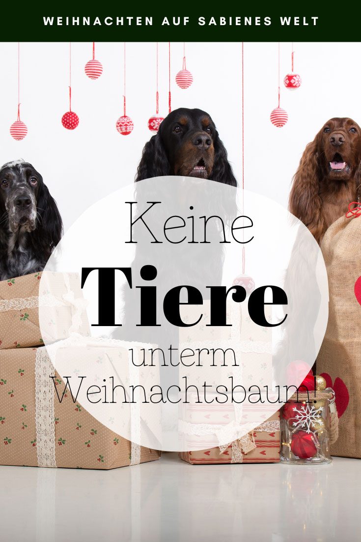 Mein Appell An Alle: Bitte Keine Tiere Unterm Weihnachtsbaum!